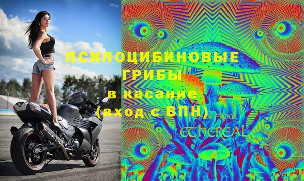 прущий лед Армянск